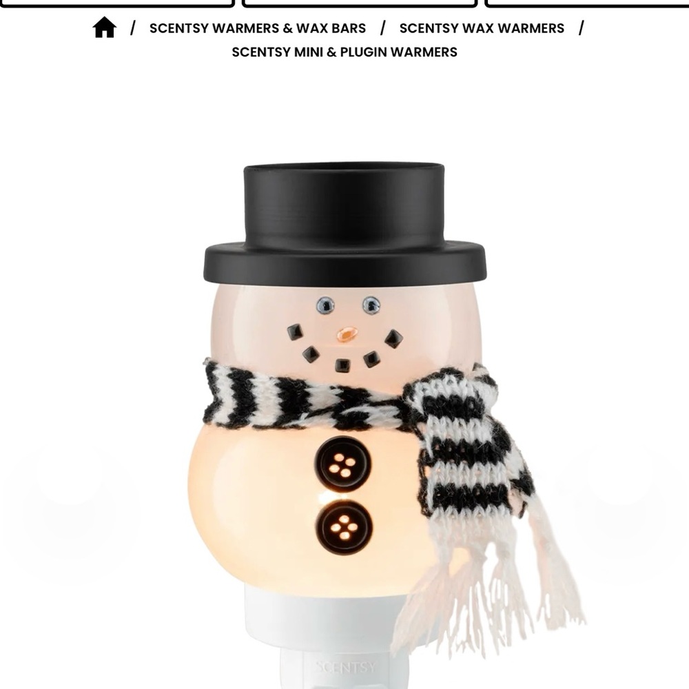 Scentsy plug in
